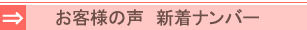 ���q�l�̐��V���i���o�[
